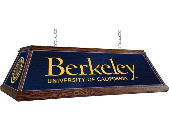 The Fan-Brand Collegiate 49" Premium Wood Pool Table Light - Image 11