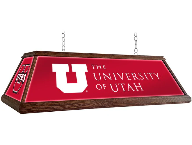 The Fan-Brand Collegiate 49" Premium Wood Pool Table Light - Image 48